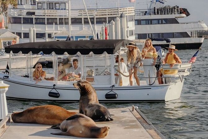 Private E-Boat Cruise: Wine, Charcuterie and Sea Lion Spotting - What you do during the 2 hours (and why it works)