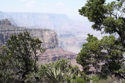 PRIVATE Grand Canyon from Sedona - South Rim stroll: where the guide makes the canyon click