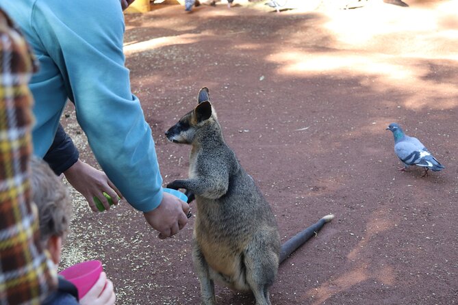 Private Luxury Blue Mountain Tour with Wildlife and River Cruise - Hotel pickup, Harbour Bridge views, then Featherdale Wildlife Park