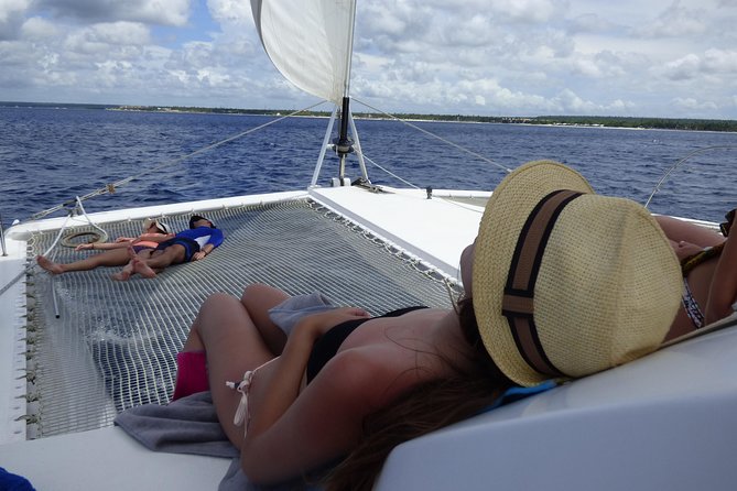 Private Luxury Catamaran - Saona or Catalina island - Saona Island: Beach Time, Starfish Island Moments, and Seaweed Reality