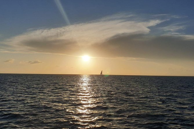 Private Luxury Catamaran - Saona or Catalina island - Las Palmillas: Where the Day Gets More Chill and Less Rush