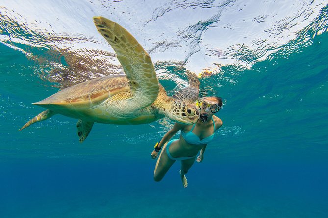 Private Luxury Charter Aboard New Multi-Deck Lagoon Catamaran - Buck Island and sea turtle spotting: what snorkeling time is really like