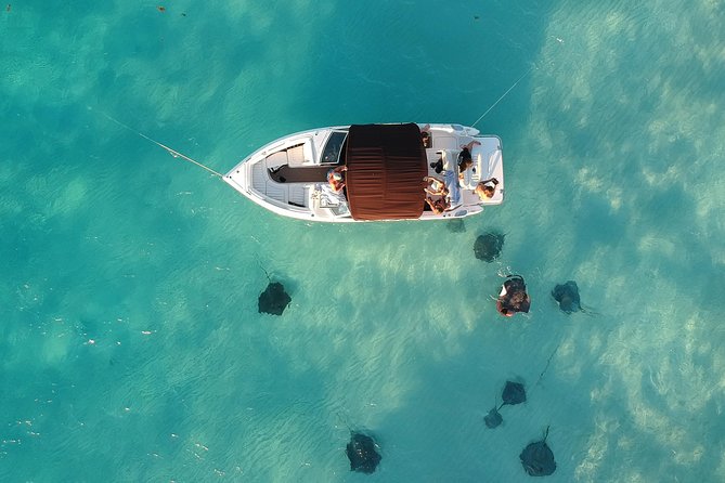 Private, luxury, custom charters to Stingray City, Snorkeling & More - Key things that make this charter a standout