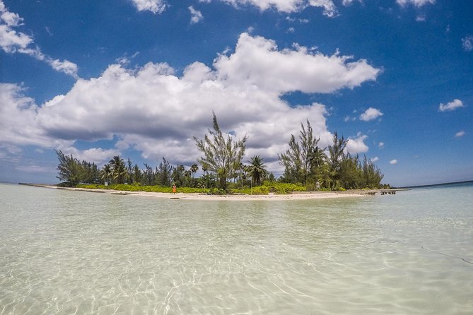 Private, luxury, custom charters to Stingray City, Snorkeling & More - Price and what you really get for $609.95 per group