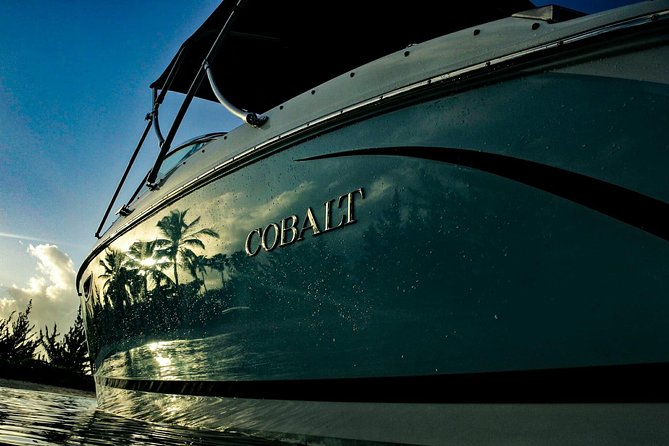Private, luxury, custom charters to Stingray City, Snorkeling & More - Stingray City: the hands-on stop where guidance matters most