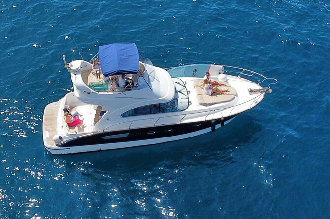 Private Luxury Motor Boat 2, 3 and 4 Hour Charters - Wildlife Spotting: Dolphins, Pilot Whales, and the Big Surprise Factor