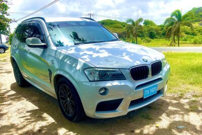 Private Luxury Round-Trip Transfer: Hewanorra International Airport - Your driver as the in-car guide: stories, stops, and traffic smarts