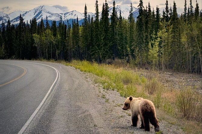 Private luxury shore excursion Skagway, AK to Emerald Lake, Yukon. - Getting value from $1,200 per group (up to 6) on a 5-hour day