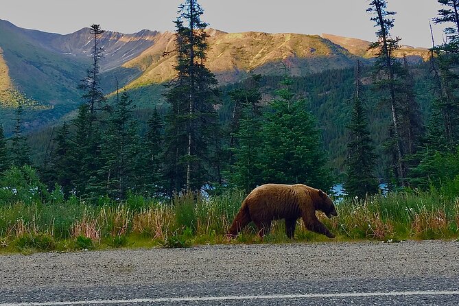 Private luxury shore excursion Skagway, AK to Emerald Lake, Yukon. - Photo stops, bears, and why timing is part of the experience