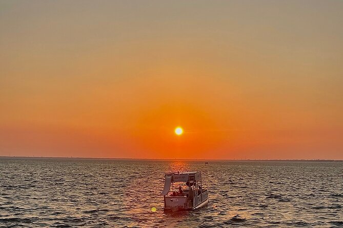 Private Luxury Sunset Cruise in Panama City Beach - Dolphin-Spotting: What to Expect and How to Get the Most