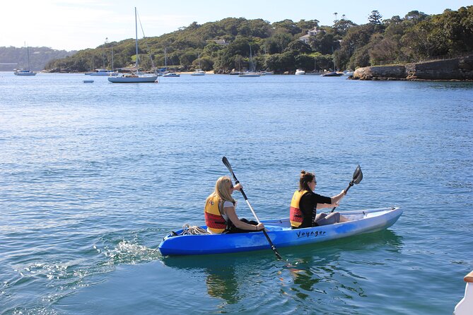 Private Luxury Sydney Harbour Cruise - The Big Picture: What Makes This Cruise Feel Worth It