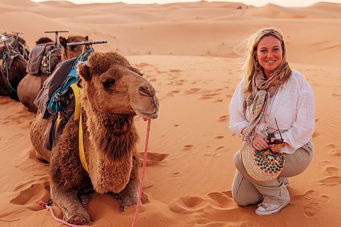 Private Luxury Tents ,Camel ride and Sandboard in Merzouga Desert - Key highlights at a glance