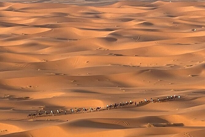 Private Luxury Tents ,Camel ride and Sandboard in Merzouga Desert - Erg Chebbi Camel Ride: Where the Magic Actually Starts