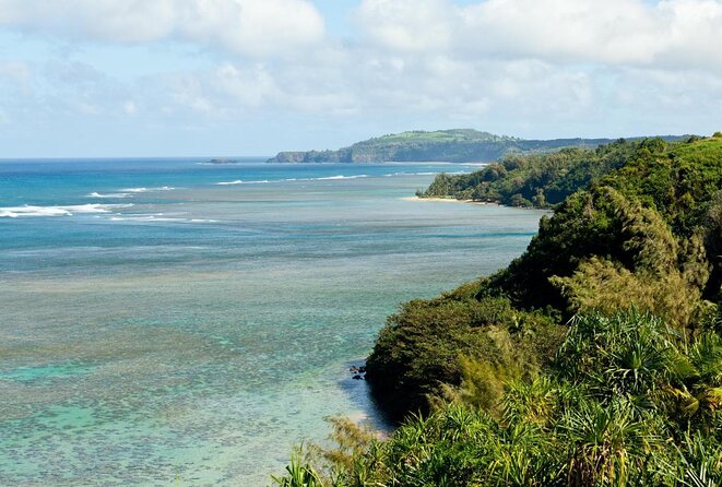 Private Luxury Tour of Kauai: North & East Shores - Key things that make this Kauai private tour worth your attention