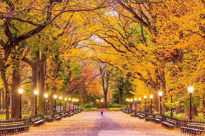 Private Luxury Tour of NYC With Transportation - Key Things You’ll Notice on This Private NYC Highlights Tour