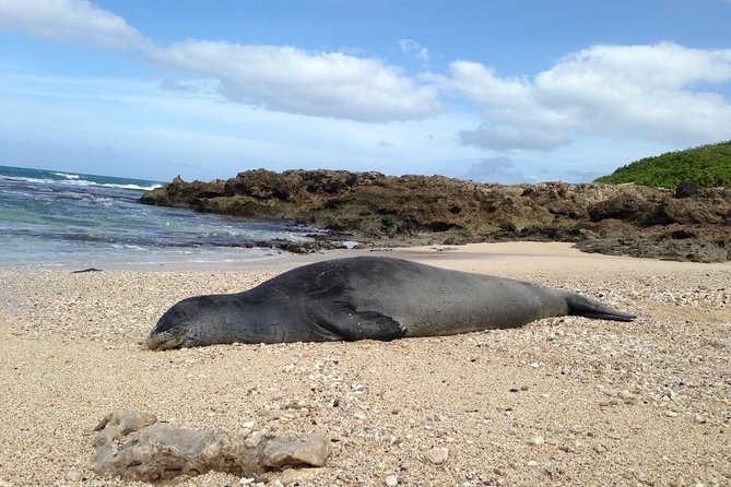 Private luxury tour of Oahu island - Haleiwa Town Center: plantation-era history at beach-town speed