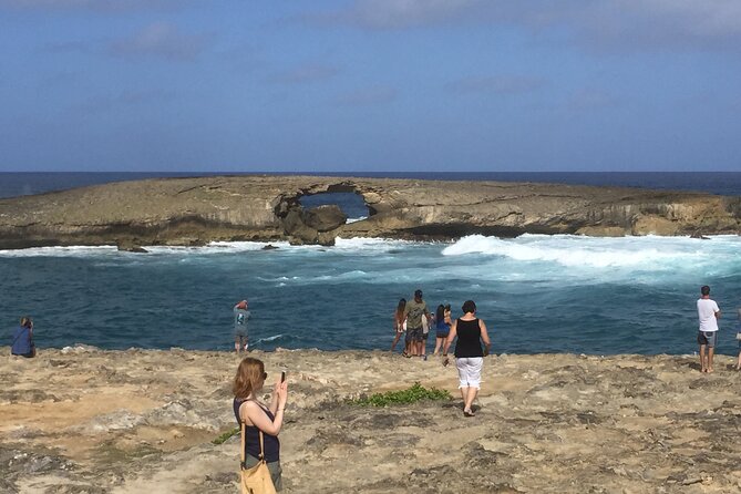 Private luxury tour of Oahu island - Laniakea Beach (Turtle Beach): green sea turtles do the hosting
