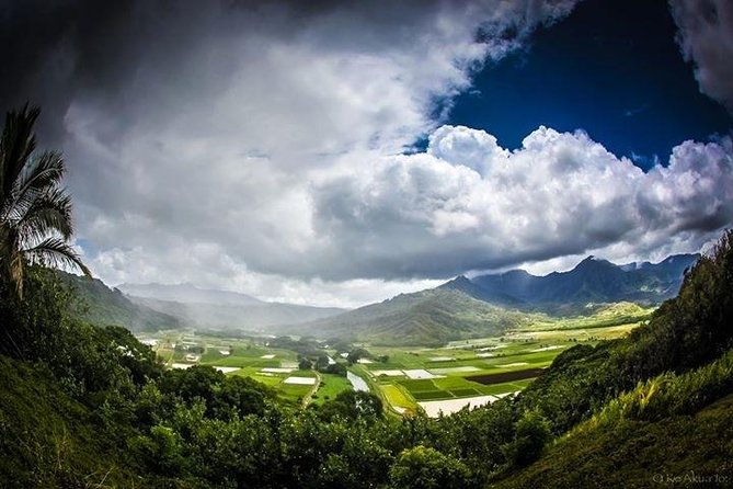 Private luxury tour of Oahu island - Price and value: what $420 per person buys you