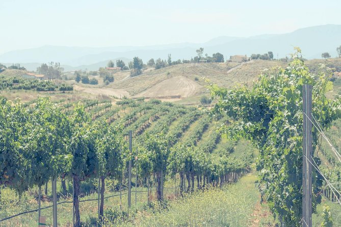 PRIVATE Luxury Transportation Experience - Temecula Valley - Luxury Transportation That Actually Feels Comfortable