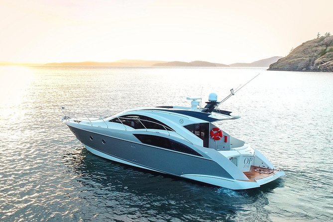 Private Luxury Whale Watch - Key Things to Know Before You Go