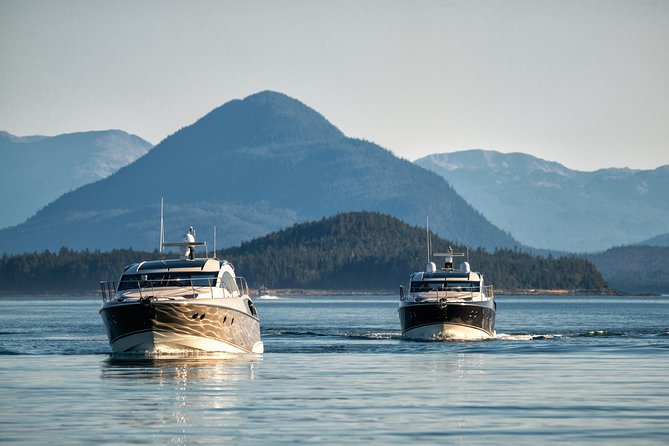 Private Luxury Whale Watch - Price and Value: When $3,599 Is Actually Reasonable