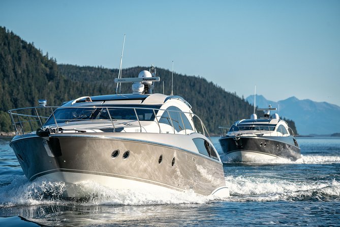 Private Luxury Whale Watch - Should You Book This Private Luxury Whale Watch?