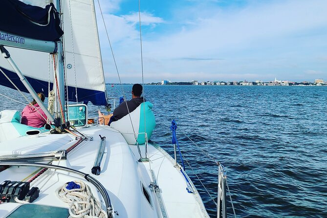 Private Luxury Yacht Charters, BYOB & Dolphins - Who Should Book This Charleston BYOB Dolphin Cruise?