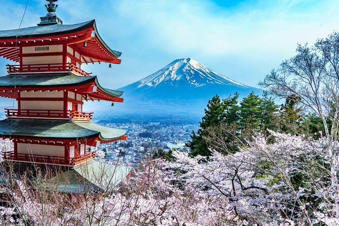 Private Mount Fuji Tour in Luxury Vehicle with English Guide - Why This Private Mount Fuji Tour Feels Easier Than DIY