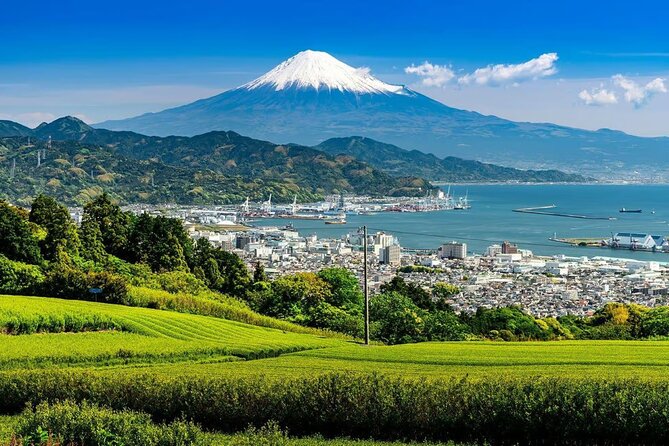 Private Mount Fuji Tour in Luxury Vehicle with English Guide - Stop 2: Lake Kawaguchiko for the Classic Fuji-Lake View