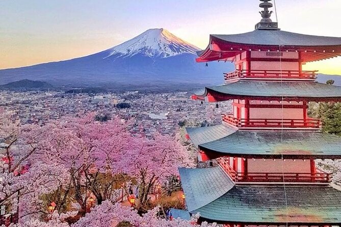 Private Mount Fuji Tour in Luxury Vehicle with English Guide - Stop 4: Oshino Hakkai—Eight Ponds, Quiet Rhythm, and Photo Time