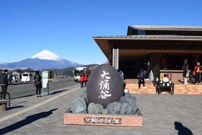 Private Mount Fuji Tour in Luxury Vehicle with English Guide - Stop 5: Oishi Park for Lake Views That Feel Like a Breather