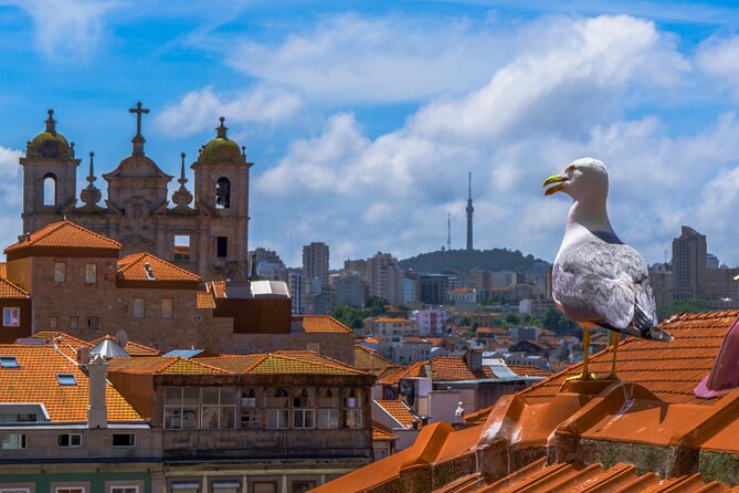 PRIVATE Porto walking tour with historian - Miradouro da Vitória: Where the Whole Lesson Lands