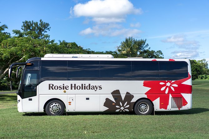 Private Premium Departure Transfer : Hotel to Nadi Airport - Price and value: when $68.99 per group makes sense