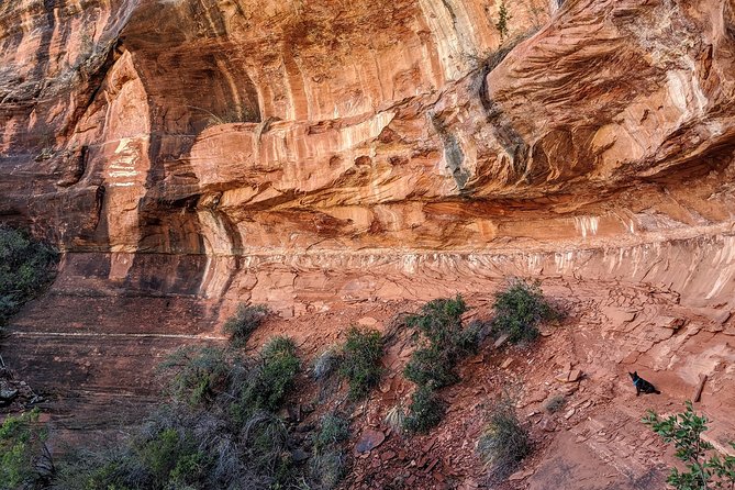 PRIVATE Sedona Scenic Half-Day - just you and your guide - The guide matters: how your day gets customized in subtle ways