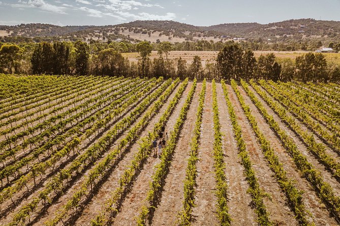 Private Tour: Premium Swan Valley Wine Tour from Perth - Private Swan Valley Stops Without the Big-Tour Chaos