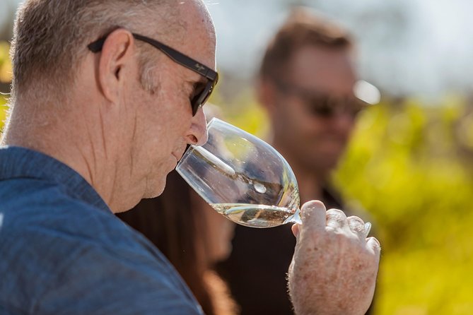 Private Tour: Premium Swan Valley Wine Tour from Perth - Value Check: Does $347.86 Per Person Make Sense?