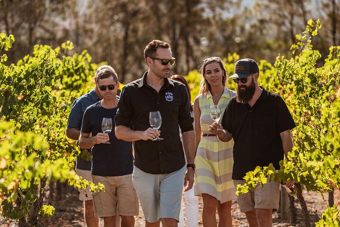 Private Tour: Premium Swan Valley Wine Tour from Perth - How the Grape-to-Glass Day Works (Beyond Just Tasting)