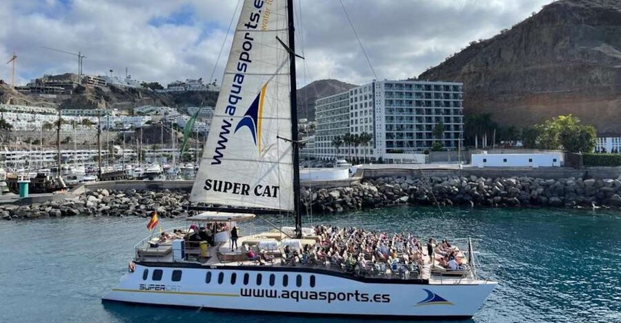 Puerto Rico de Gran Canaria: Premium Dolphin Catamaran Tour - A 4-hour rhythm you can actually enjoy in Gran Canaria’s south