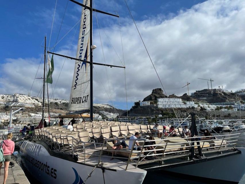 Puerto Rico de Gran Canaria: Premium Dolphin Catamaran Tour - What the scenery looks like from the water (and why it’s more than background)