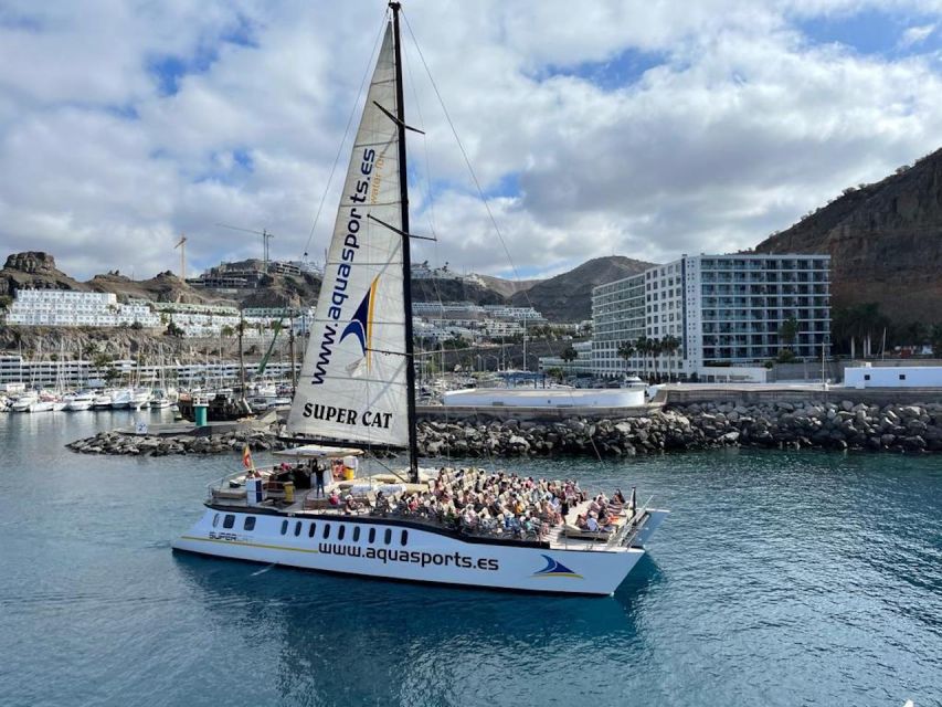 Puerto Rico de Gran Canaria: Premium Dolphin Catamaran Tour - Lunch, drinks, and the onboard bar: a sea day should feel like a day