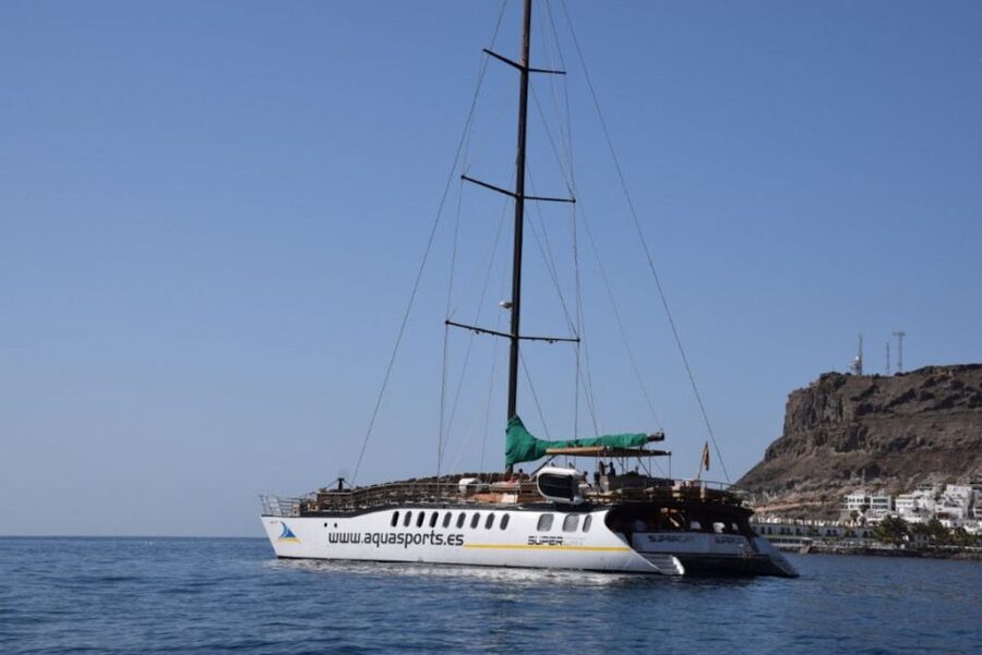 Puerto Rico de Gran Canaria: Premium Dolphin Catamaran Tour - The anchor stop: swim time is where the day turns fun