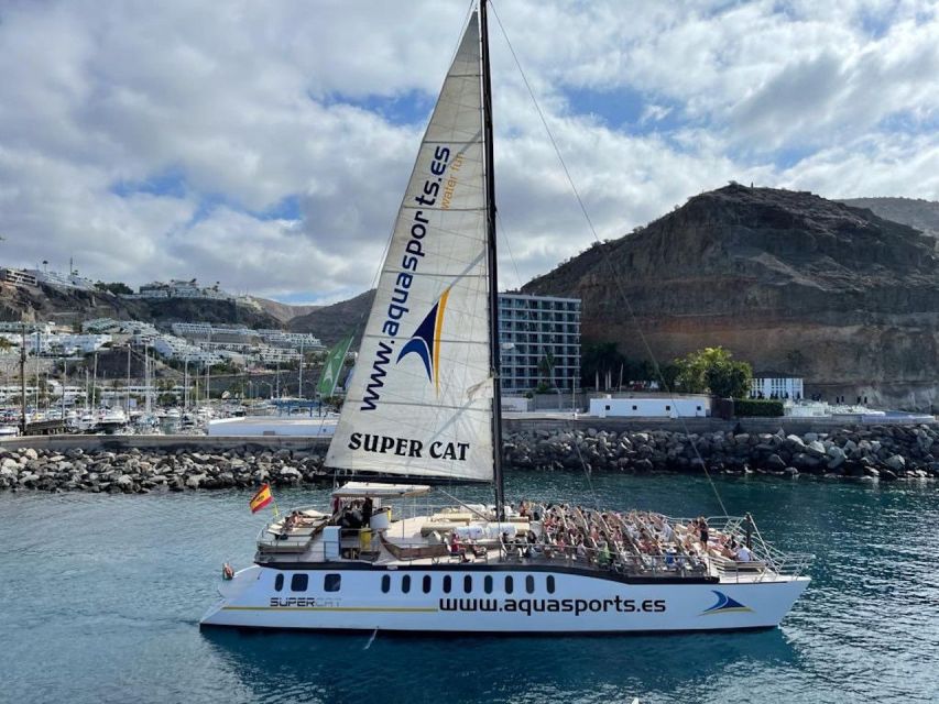Puerto Rico de Gran Canaria: Premium Dolphin Catamaran Tour - Pickups in the south: what you should expect about getting to the port