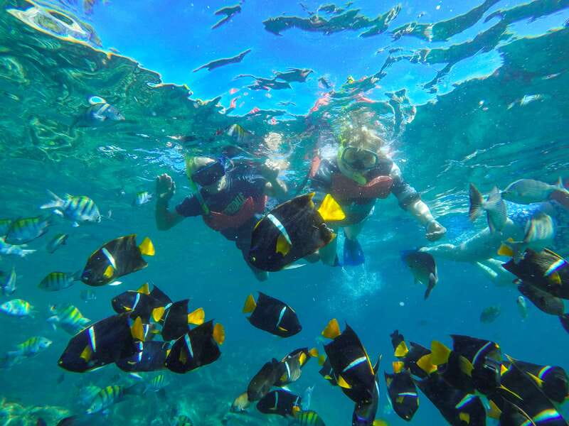 Puerto Vallarta: Luxury Day Sailing Tour of Bay of Banderas - Luxury on the Bay of Banderas: what $119 buys you