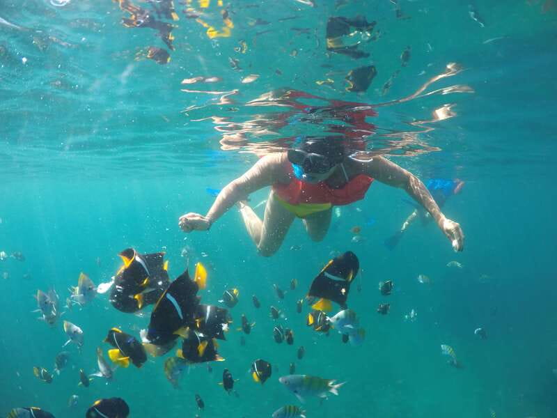 Puerto Vallarta: Luxury Yacht Tour with Lunch and Open Bar - Bay of Banderas by Yacht: Why This 5-Hour Format Works