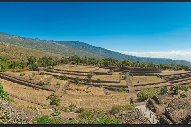 "Pyramids of Güímar Admission PREMIUM Ticket" - Gardens Worth Slowing Down For: Botanical, Poison, Sustainable