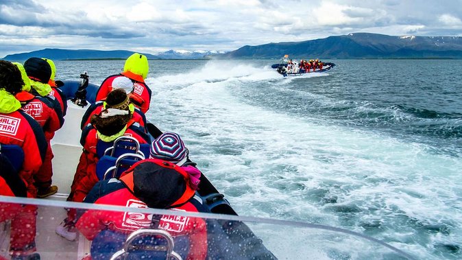 Reykjavik Premium Puffin tour | Close Up and Personal - Lundey Cliffs in the Puffin Zone (and Why Photos Are Hard)