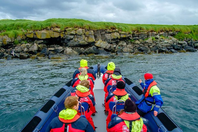 Reykjavik Premium Puffin tour | Close Up and Personal - Guides, Binoculars, and the Realities of Spotting Small Birds