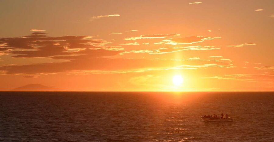 Reykjavik: Premium Whale and Puffin Watching Evening Tour - Evening RIB Wildlife Watching in Reykjavik: What makes it different