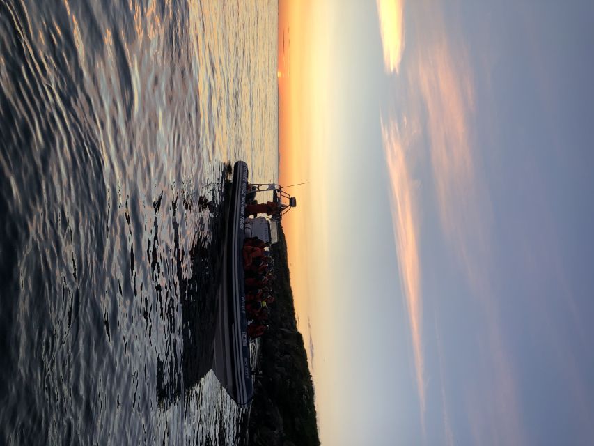 Reykjavik: Premium Whale and Puffin Watching Evening Tour - Price and value: is $200 per person fair?