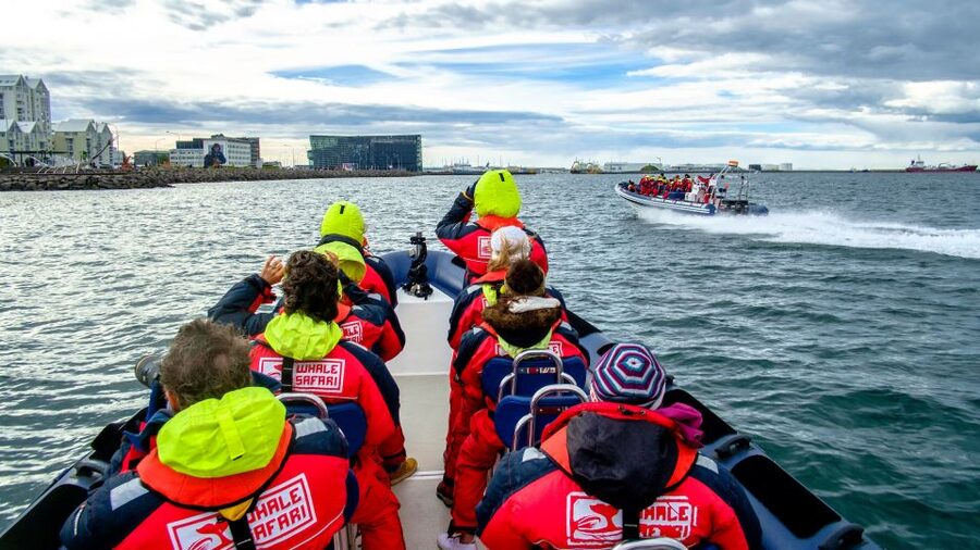 Reykjavik: Premium Whale Watching with Flexible Ticket - Should you book Premium Whale Watching with Flexible Ticket?